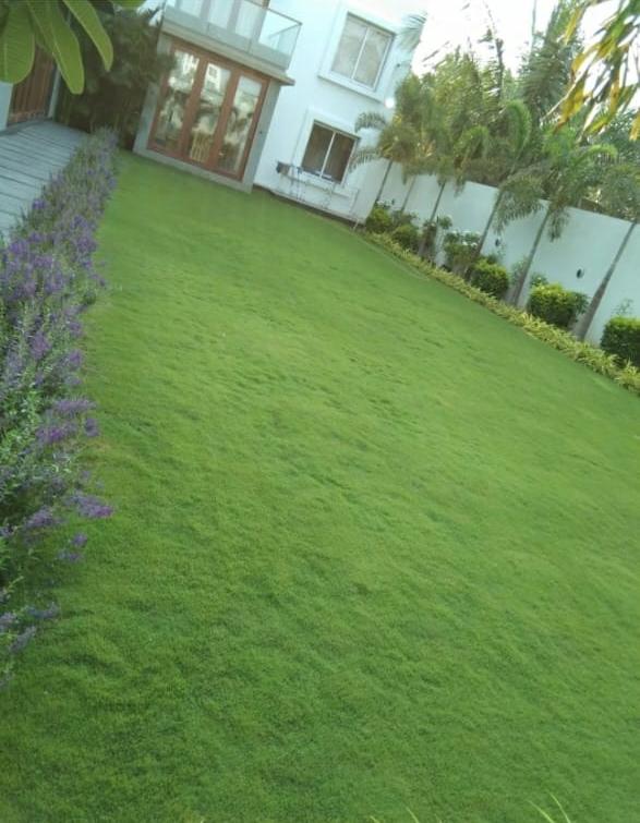 Landscaping & Site Development