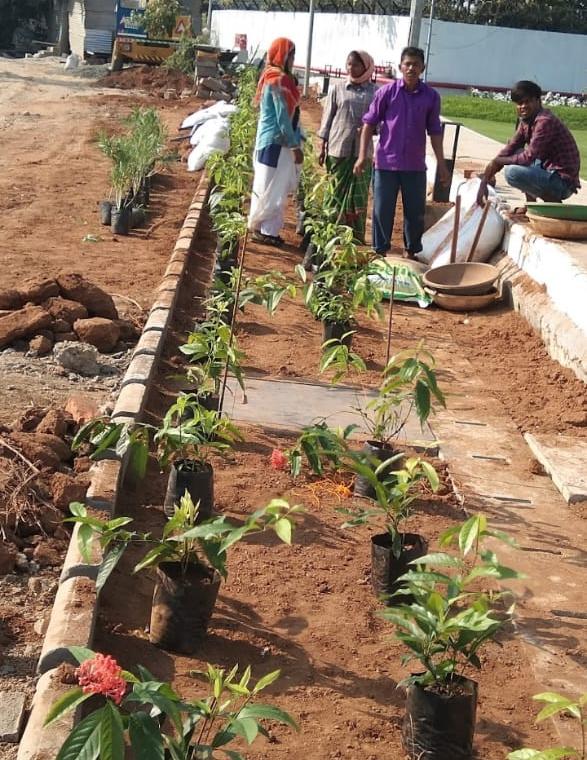 Plantation & Garden Creation