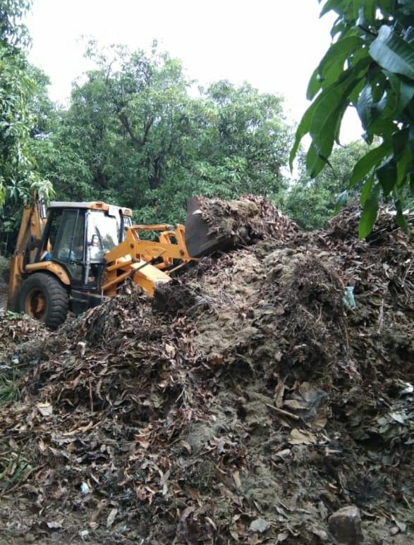 Organic compost