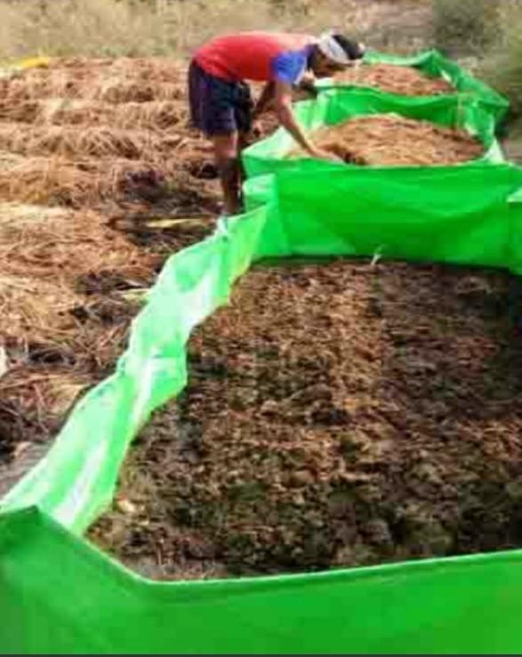 Soil & Fertilizer Treatment work