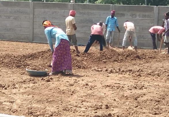 Garden Soil & Levelling