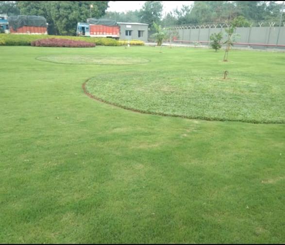 One-Time Garden Maintenance