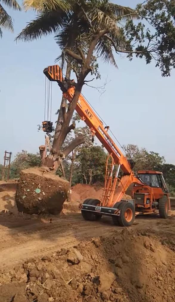 Mature Tree Handling work
